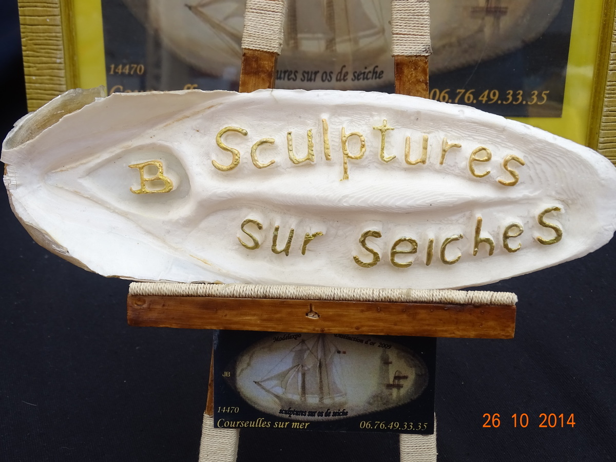 ob fd0e2a seiche-2