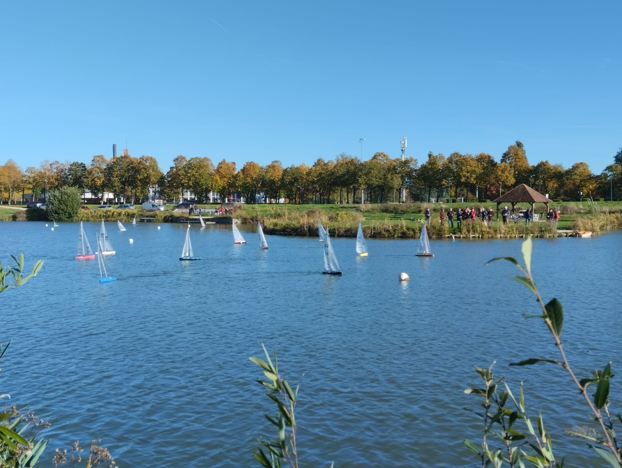 IMG 20221009 WA0003